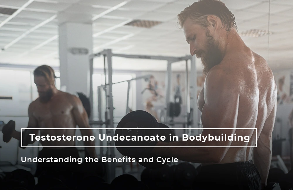 Testosterone Undecanoate in bodybuilding