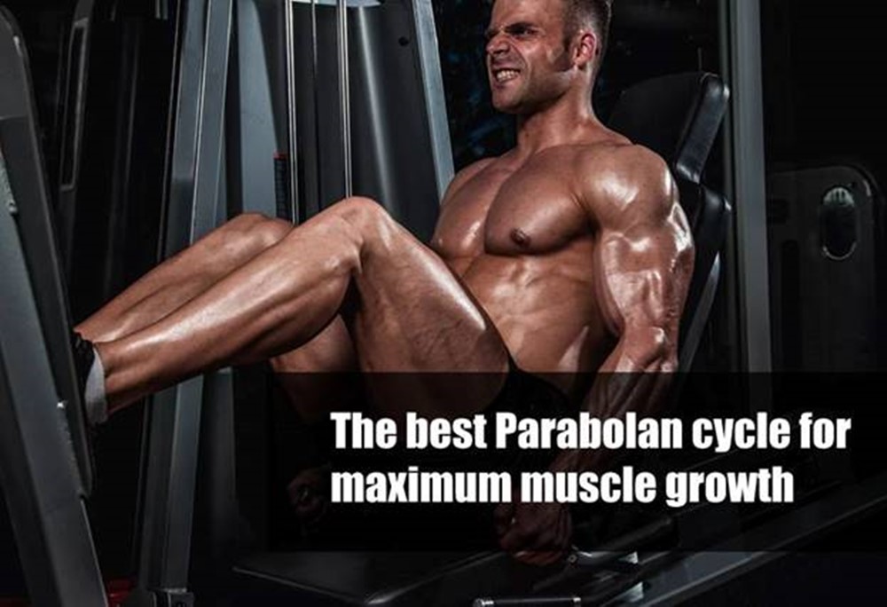 The best Parabolan cycle for maximum muscle growth